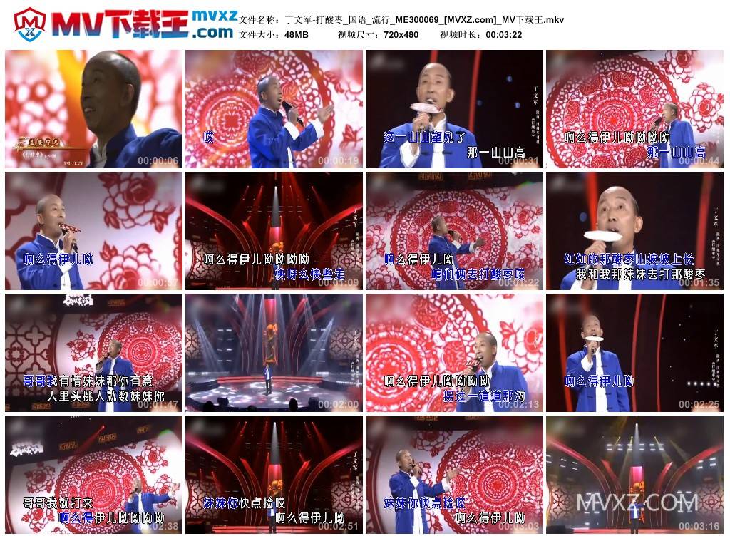 丁文军-打酸枣_国语_流行_ME300069